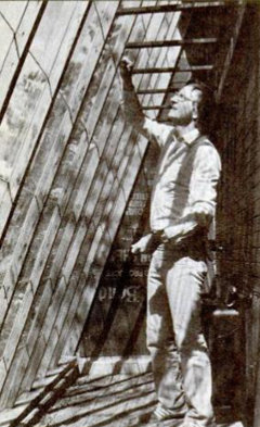 Интерьер солнечной теплицы