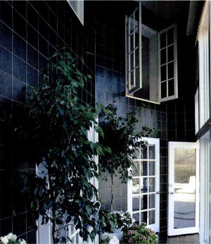 Интерьер солнечной теплицы