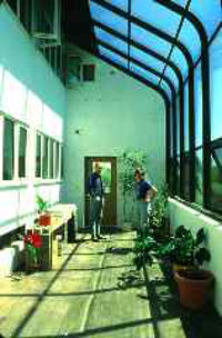 Интерьер солнечной теплицы заглублённого дома Sidwell House