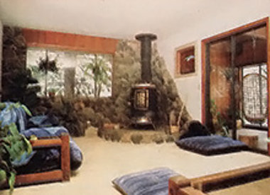 Дровяная печь в углу гостиной