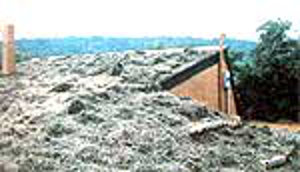 Дерновая кровля солнечного дома Макдональда