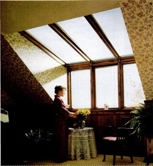 Интерьер чердака со встроенной солнечной теплицей