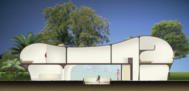 Органический дом Амёба в разрезе