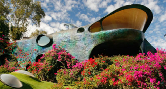 Внешний вид органического дома Акула