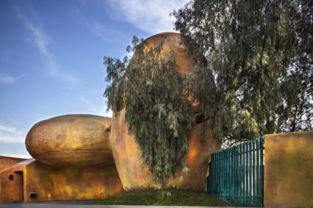 Внешний вид органического дома Дерево