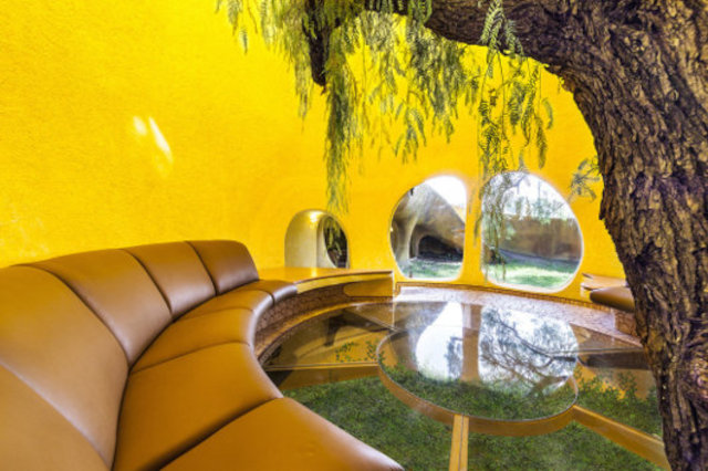 Гостиная органического органического дома Дерево