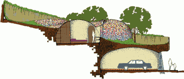 Органический дом Мексиканский кит в разрезе