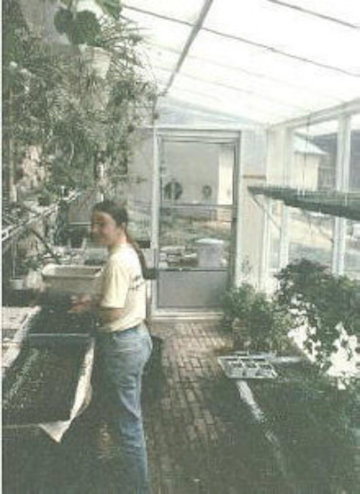 Солнечная теплица Дуга Калмера, интерьер