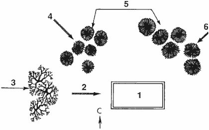 Защита от ветра