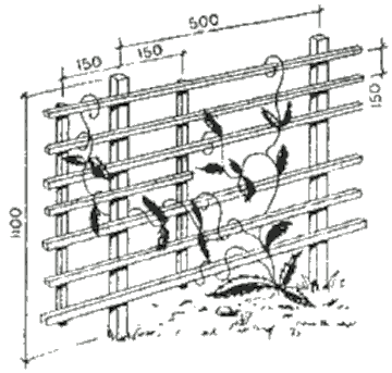 Трельяжная стенка-перегородка из деревянных брусков
