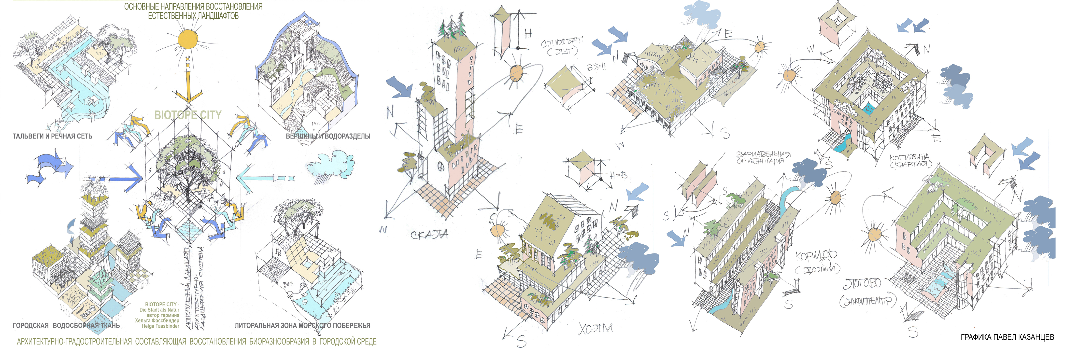 варианты городских биотопов
