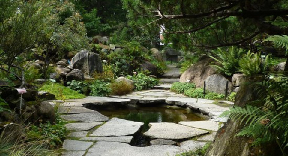 Декоративный водоём на участке своими руками