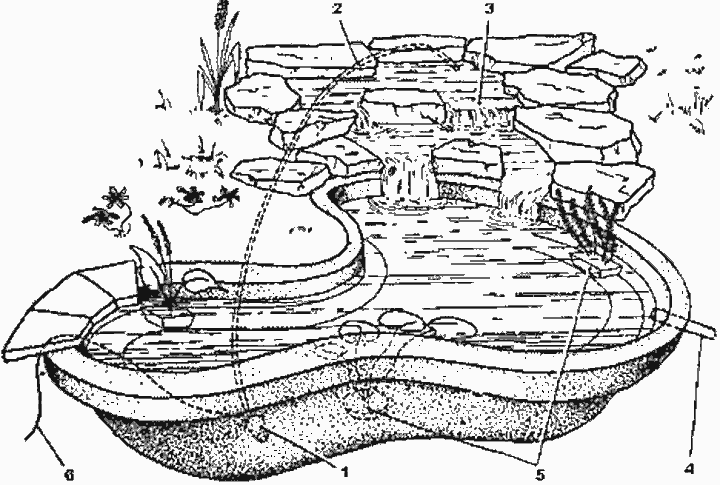 Декоративный водоем план